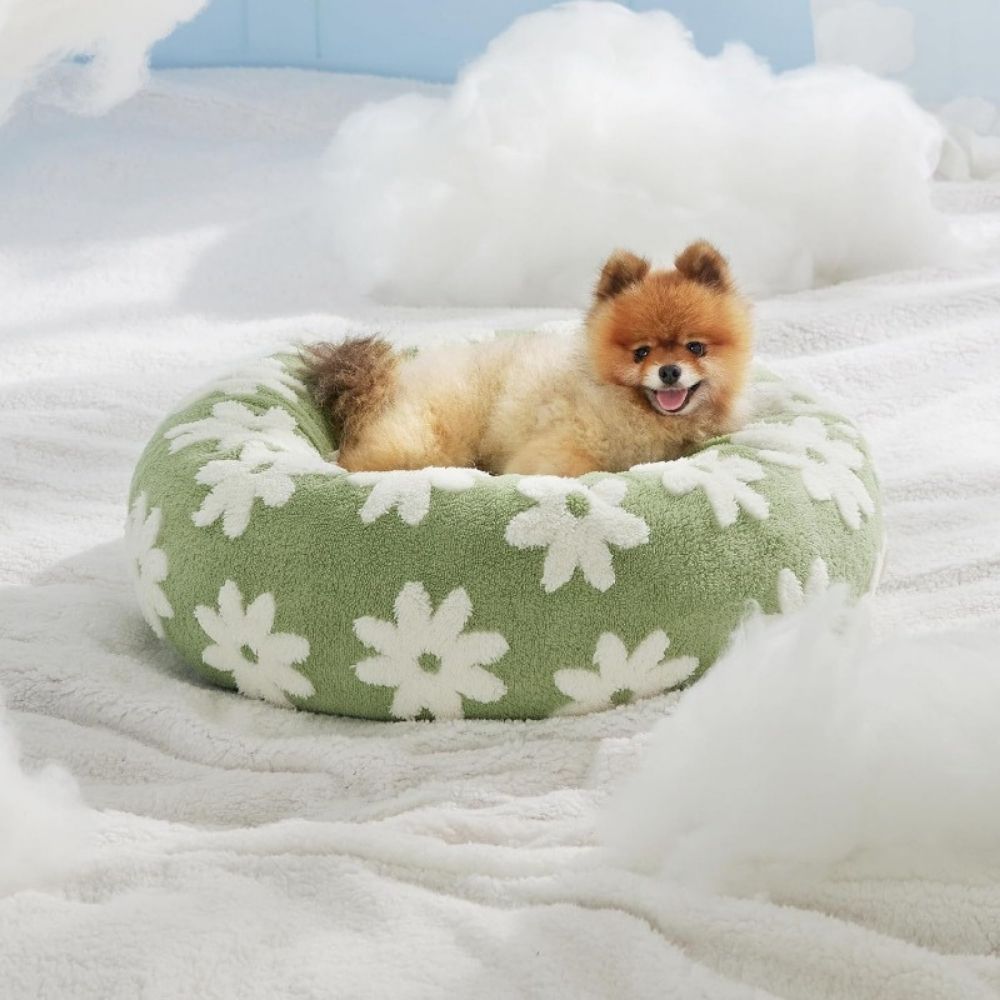 Vintage Round Dog Bed Cushion - Pawtique